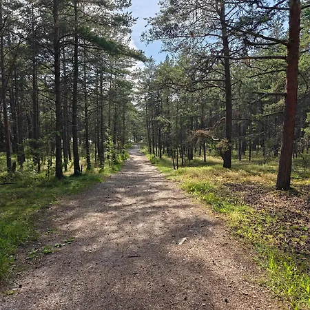 Retrohonguline Suvila Saunaga Laulasmaal, Privaatne Puhkus Mere Laehedal