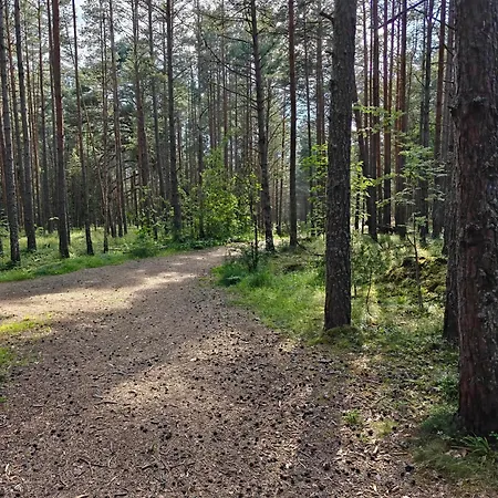 Сasa de vacaciones Retrohonguline Suvila Saunaga Laulasmaal, Privaatne Puhkus Mere Laehedal *