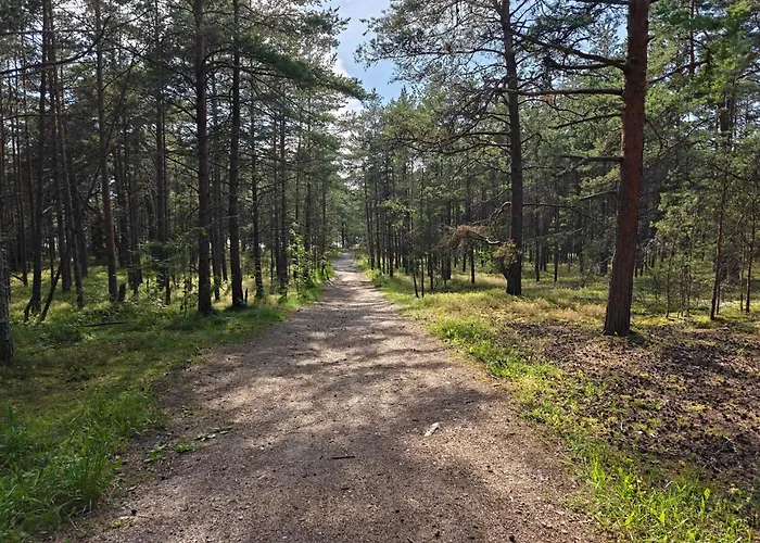 Retrohonguline Suvila Saunaga Laulasmaal, Privaatne Puhkus Mere Laehedal