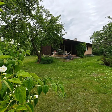 Retrohonguline Suvila Saunaga Laulasmaal, Privaatne Puhkus Mere Laehedal Feriehus