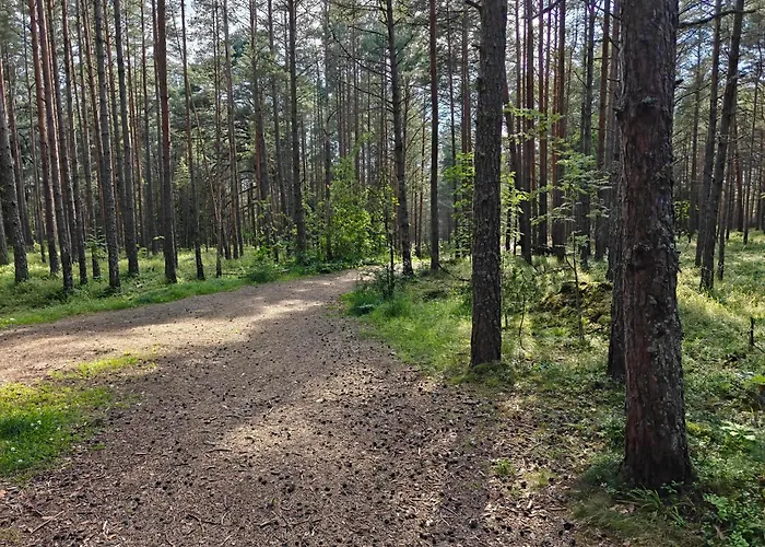 Feriehus Retrohonguline Suvila Saunaga Laulasmaal, Privaatne Puhkus Mere Laehedal *