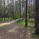 Ferienhaus Retrohonguline Suvila Saunaga Laulasmaal, Privaatne Puhkus Mere Laehedal *